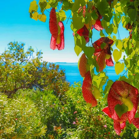 Nafsika Nisaki (Corfu)