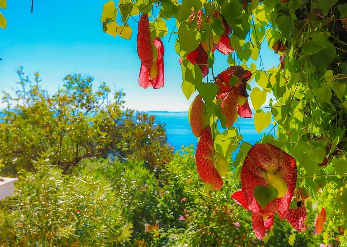 Nafsika Nisaki (Corfu)