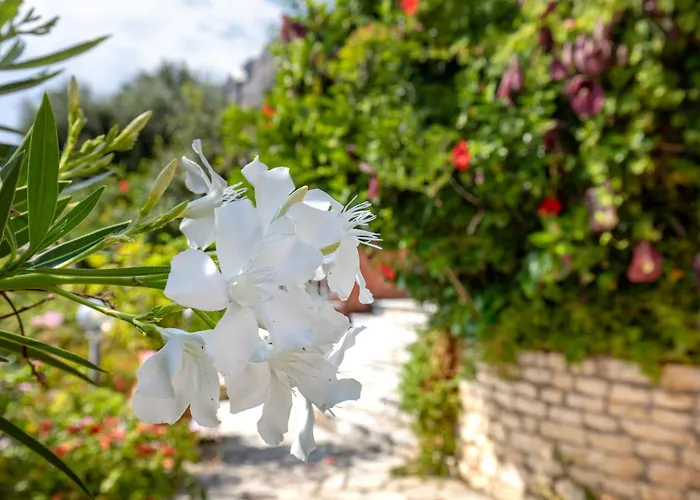 Nafsika Nisaki (Corfu)