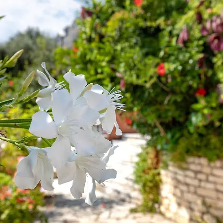 Nafsika Nisaki (Corfu)